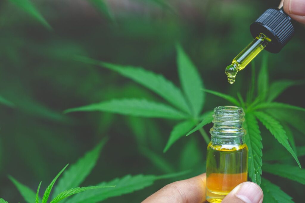 Why Cook with CBD Oil