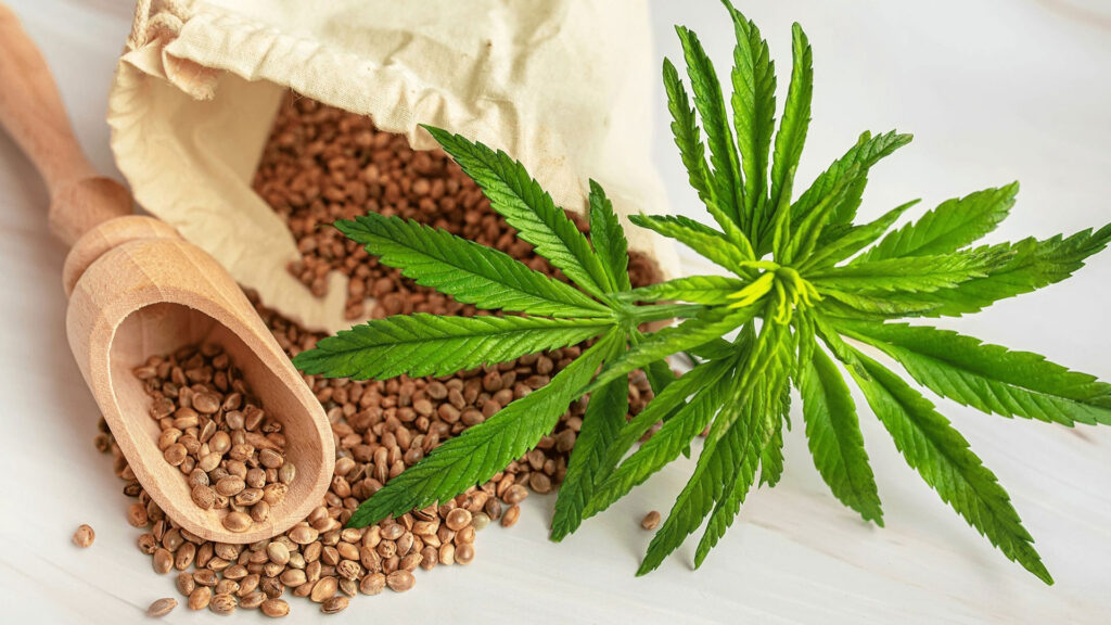 CBD Oil Potency