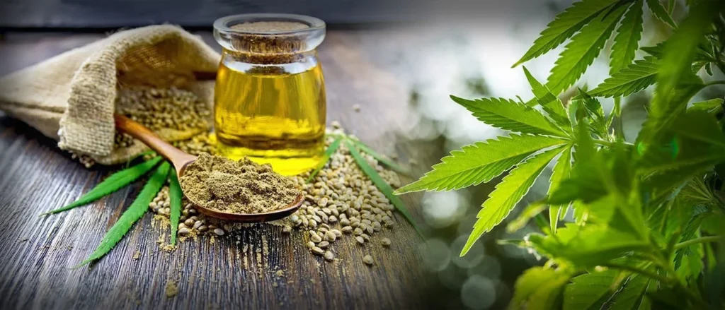 CBD Oil and Your Immune System
