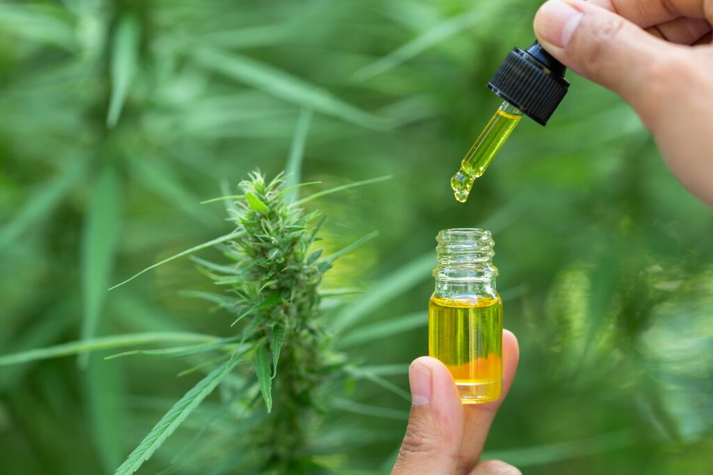 How to Choose High-Quality CBD Oil A Complete Buyer’s Checklist