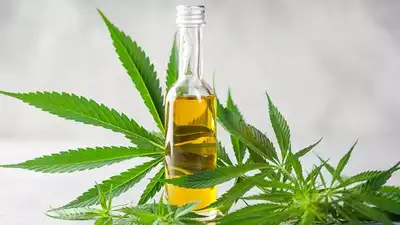 CBD Oil Support Daily Wellness