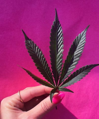 CBD
